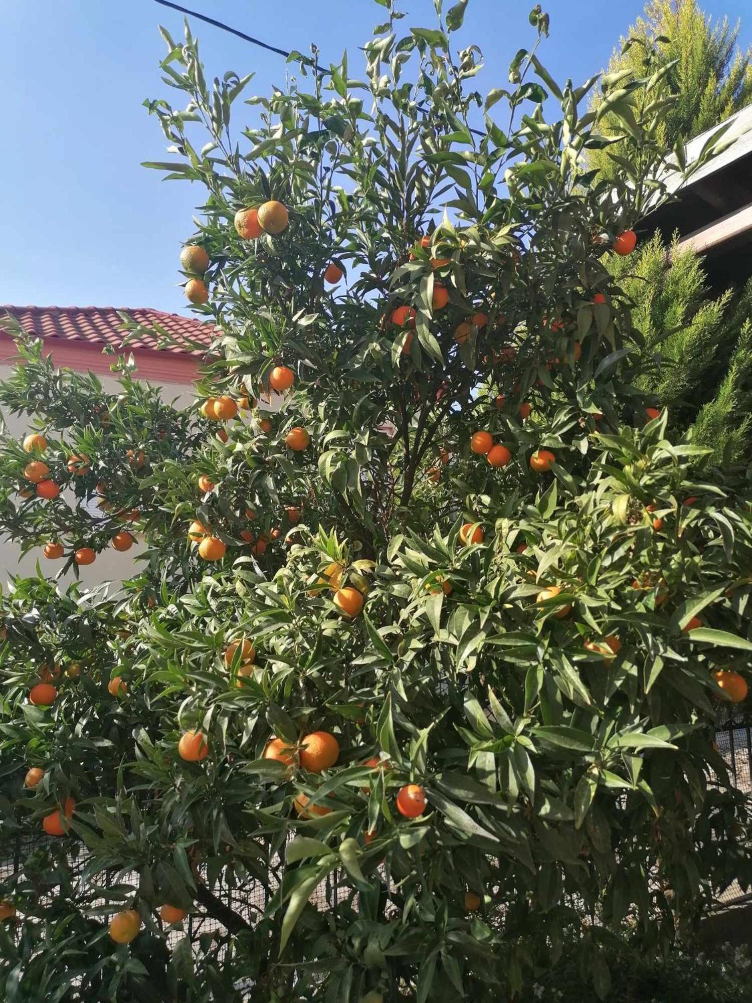 Cosy House Stratoni Chalkidiki 300M From Beach Exterior foto